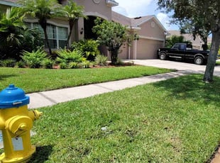 Shawnice W.'s grass maintenance service result