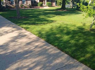 Elle D.'s grass maintenance service result