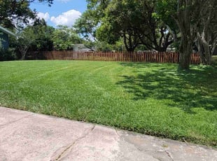 Victor R.'s yard maintenance service result