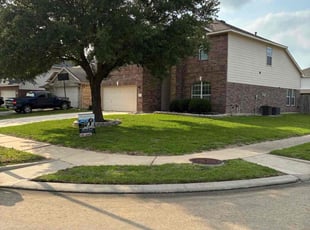Emily S.'s grass maintenance service result