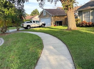 Terry D.'s turf care service result
