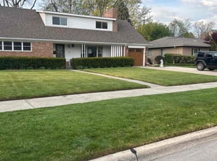 Mugunthan N.'s lawn care service result