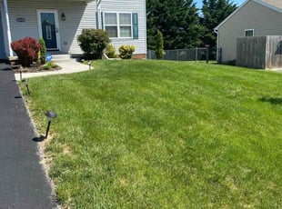 Tiffany D.'s yard work service result