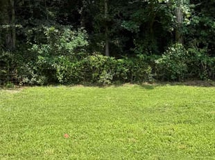 Nikkia S.'s grass maintenance service result