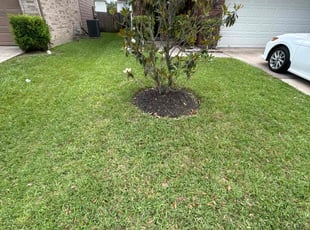 Faith S.'s grass cutting service result