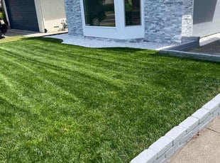 Andrea S.'s lawn care service result