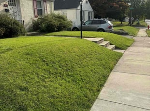Stephanie L.'s lawn care services service result