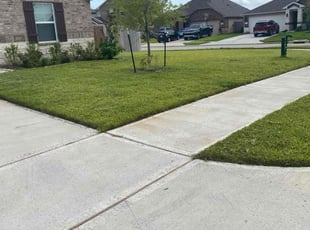 Nicole T.'s lawn care services service result