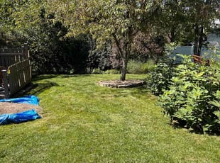 Jason M.'s turf maintenance service result