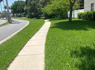 Robert M.'s grass maintenance service result