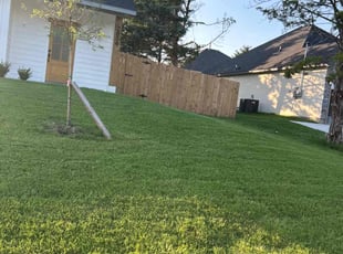 Jonathan B.'s turf care service result