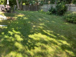 Angela M.'s lawn care services service result