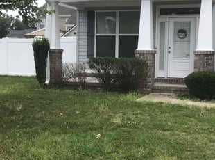 Jack B.'s Bush Trimming service result