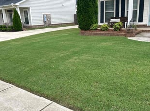 Mark B.'s turf maintenance service result