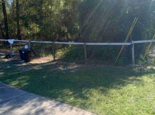 Sapir S.'s grass maintenance service result