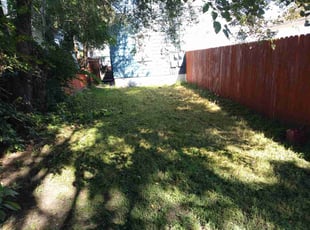Gil B.'s lawn service service result