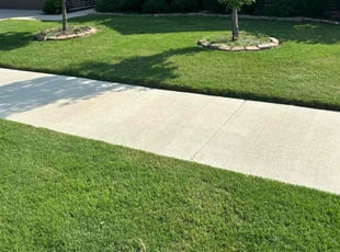 Peggy G.'s grass cutting service result