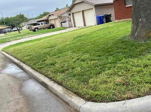 Concepcion C.'s lawn service service result