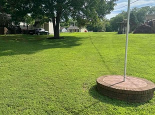 Sean K.'s lawn service service result