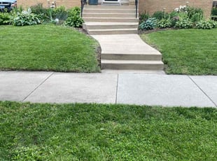 Anastasia P.'s grass cutting service result