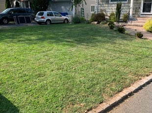 Helen W.'s lawn care service result