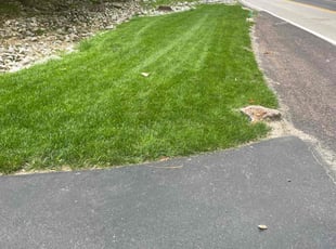 Earl C.'s grass maintenance service result