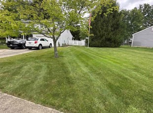 Martin H.'s turf care service result