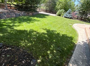 Billy O.'s turf care service result