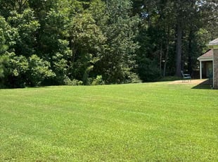 Donna S.'s lawn care service result