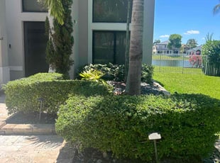 Blake B.'s Bush Trimming service result