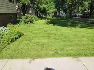 David D.'s grass cutting service result