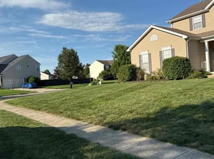 Rishee P.'s turf care service result