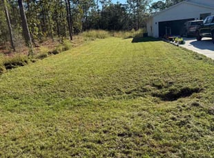 Sheyanne B.'s turf maintenance service result