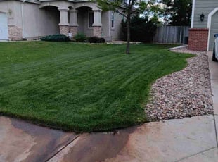 Jeff L.'s lawn maintenance service result