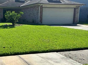 Georgianne G.'s turf maintenance service result