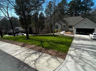 Adam N.'s grass cutting service result
