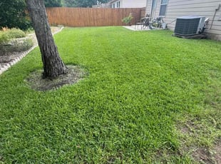 Jennifer B.'s lawn service service result