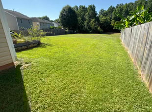 Candace M.'s turf care service result