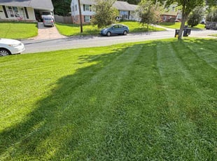 Tom M.'s lawn care service result