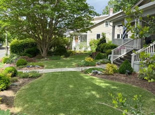 Earlene B.'s grass cutting service result