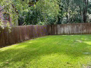 Na N.'s turf care service result