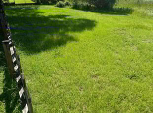 Mike M.'s lawn care services service result