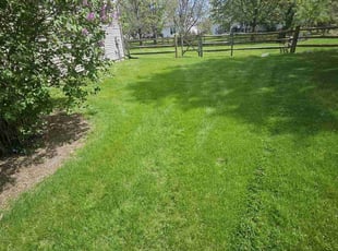 Rebecca W.'s lawn care services service result