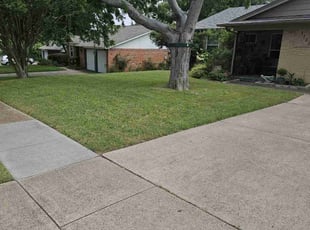 Ronald D.'s lawn service service result
