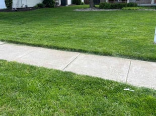 Rolyc W.'s turf care service result