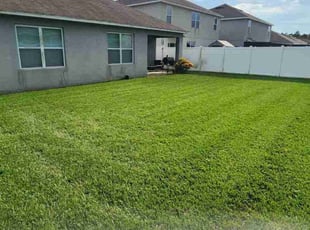 Moses M.'s grass maintenance service result