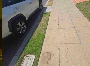 Terry S.'s grass maintenance service result