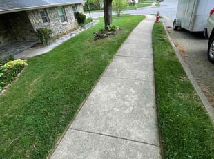 Barry B.'s lawn care service result