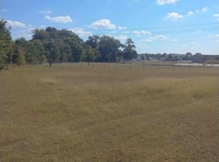 Missy B.'s lawn maintenance service result