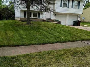 Joel W.'s lawn care service result